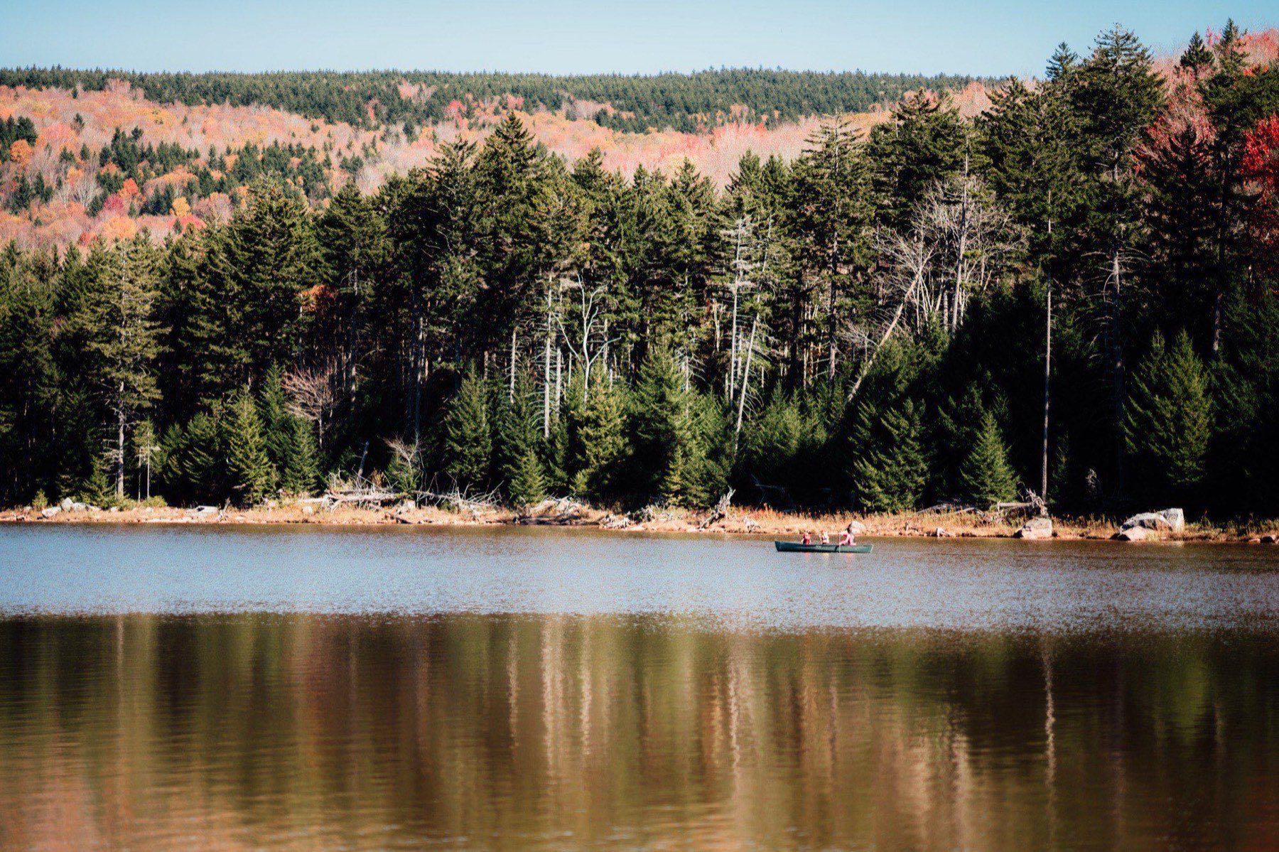 Shavers Lake beach and treeline in fall from above
