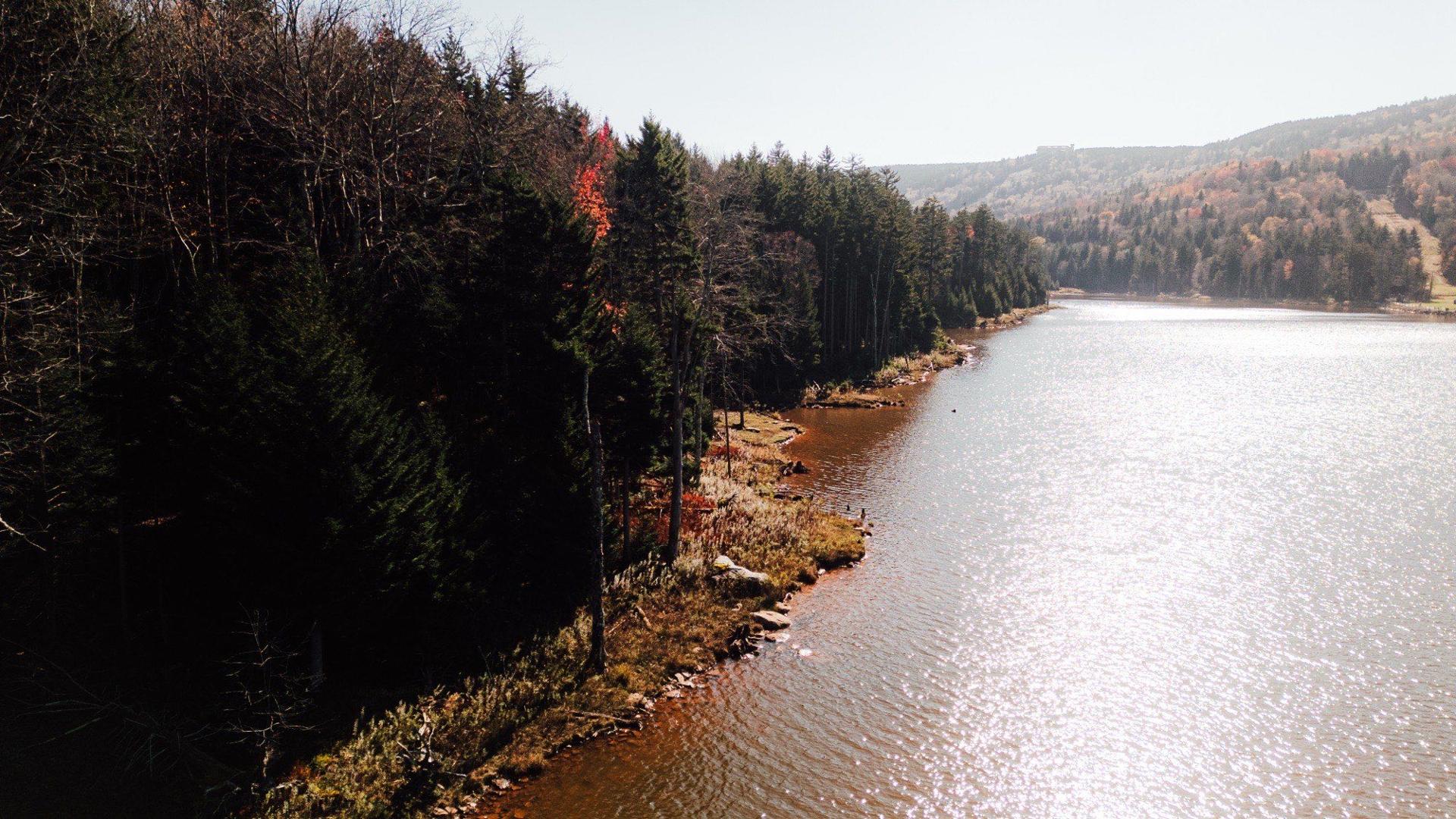Shavers Lake shoreline and forest from above at Snowshoe