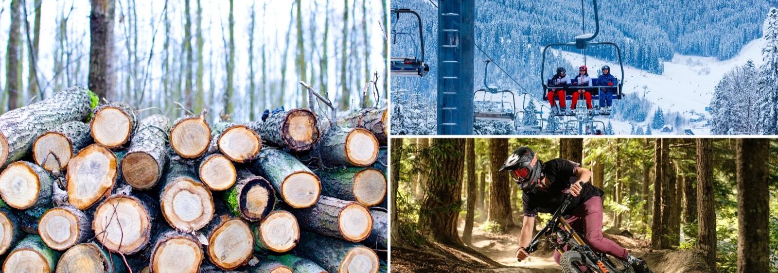 From Loggers to Ski Bums: The Fascinating History of Snowshoe, WV