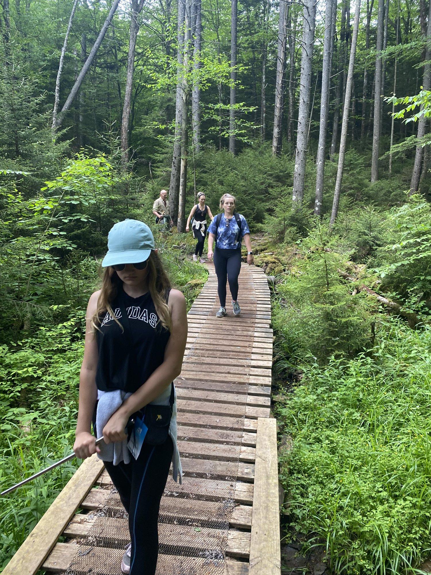 The boardwalk on the Shavers Lake Trail, a group hiking through the woods in summer