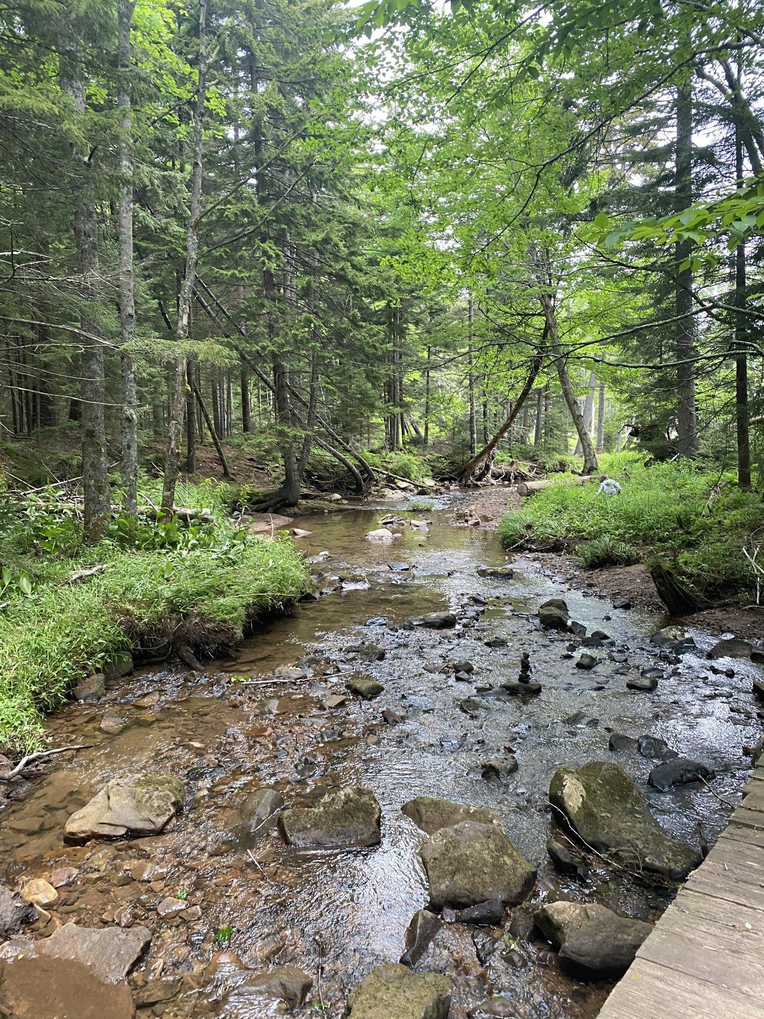 A mossy creek running over rocks beside the trail near Snowshoe