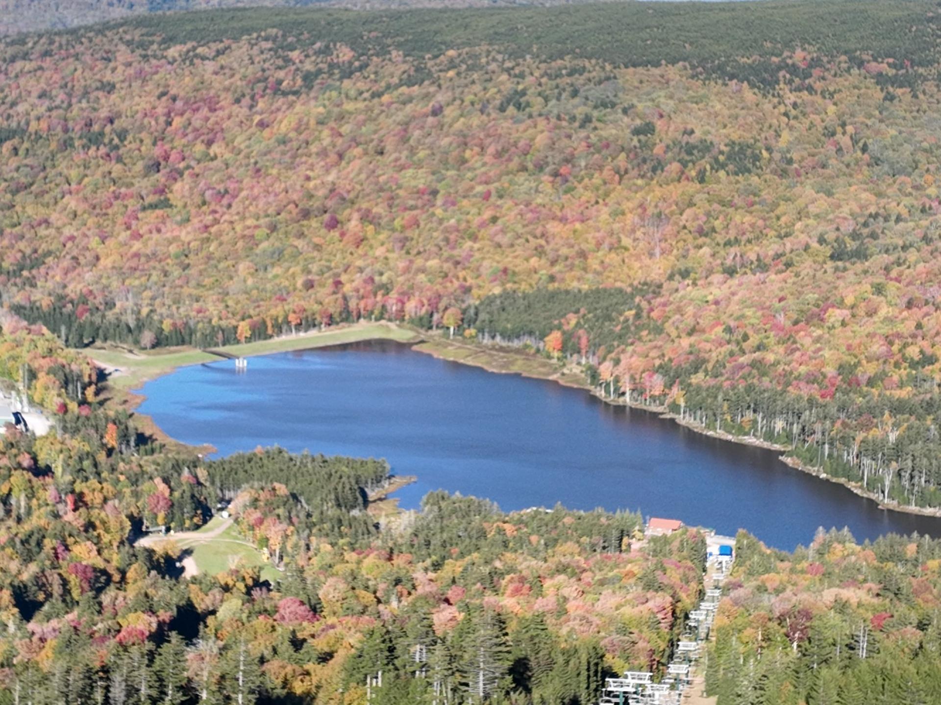 Shavers Lake from the air in peak fall color, the whole shoreline lit up red and gold
