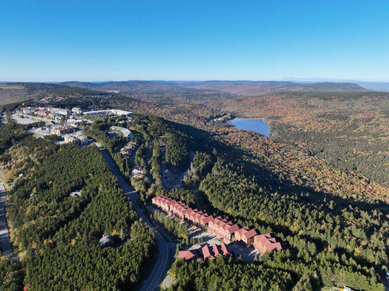 Aerial View of Snowshoe