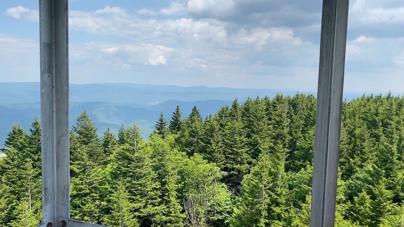 Fire Tower View in Snowshoe
