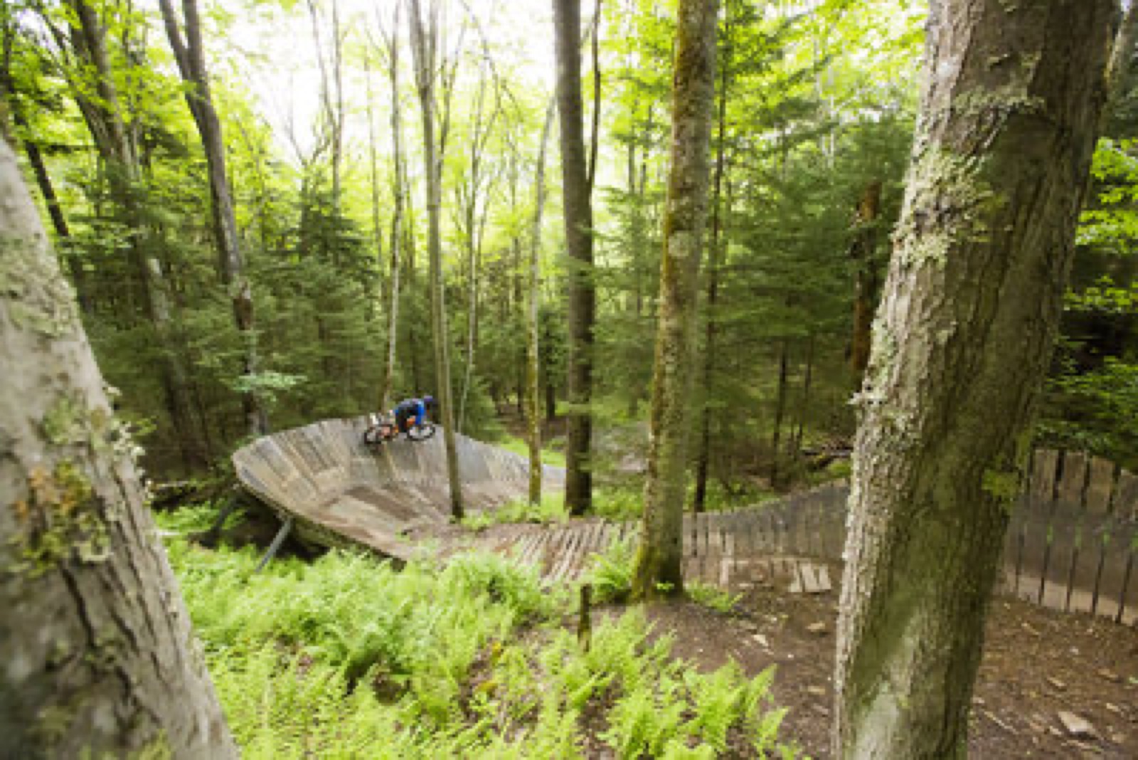 Mountain Biking in Snowshoe